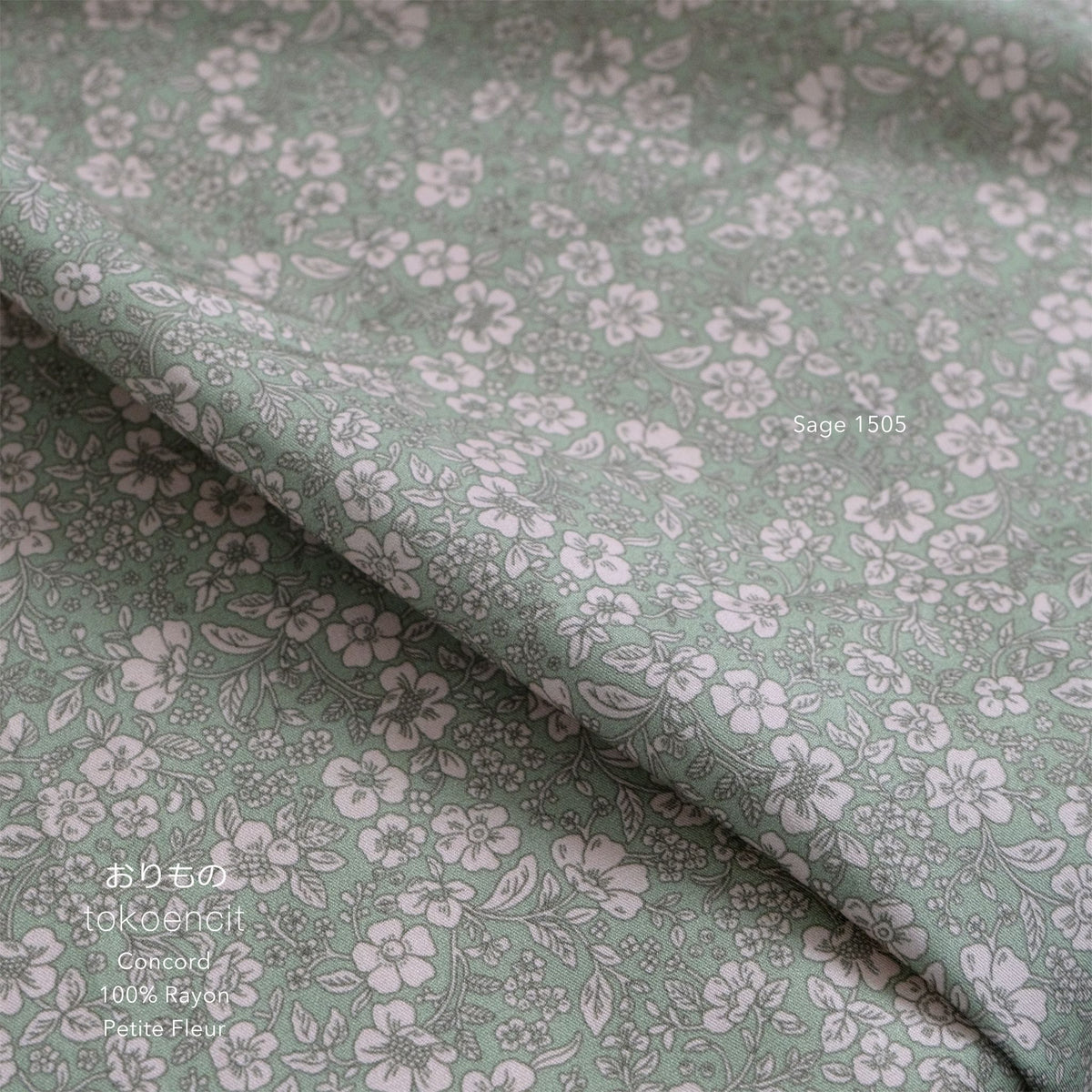 Concord | Petite Fleur