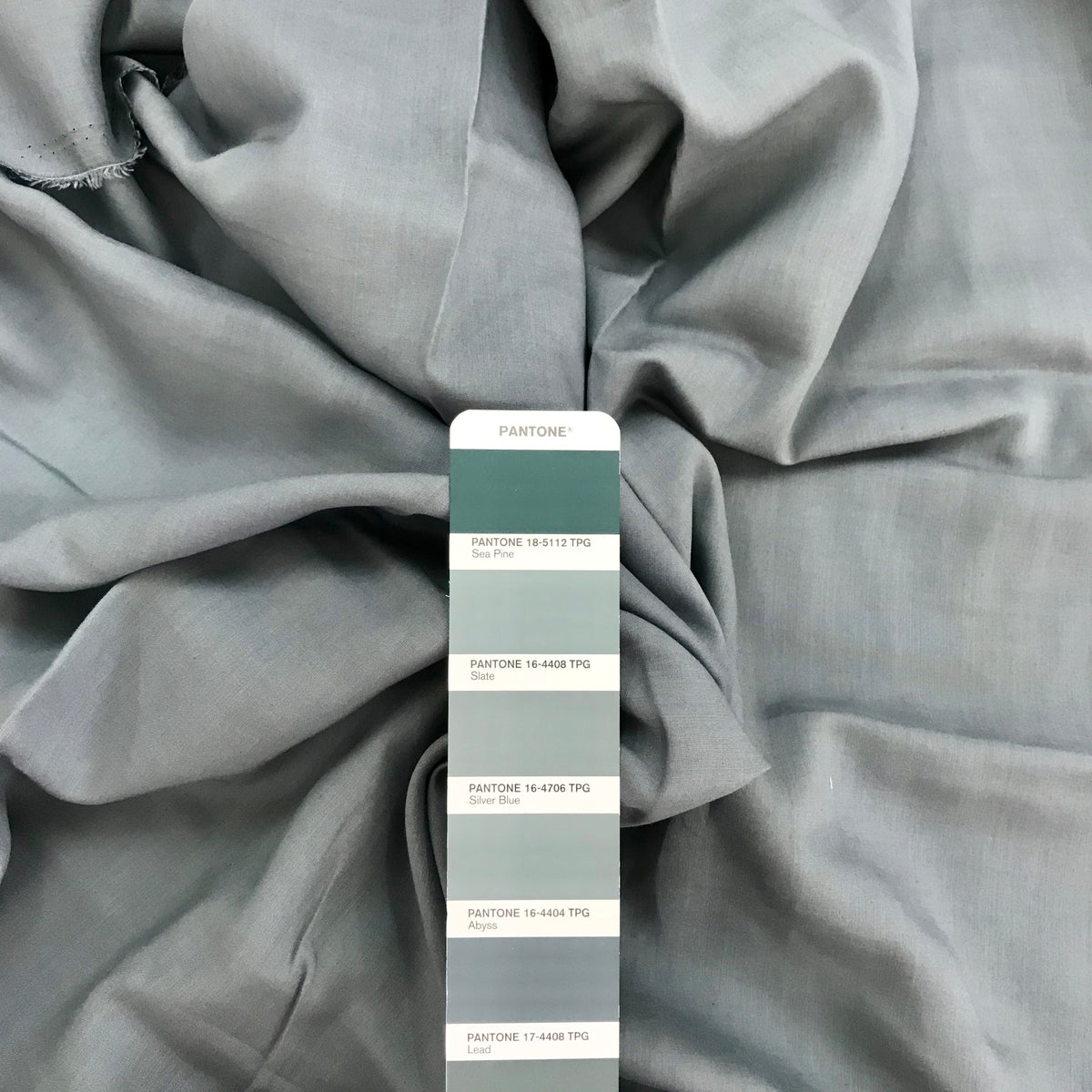 Euca Voille 1 | Solid