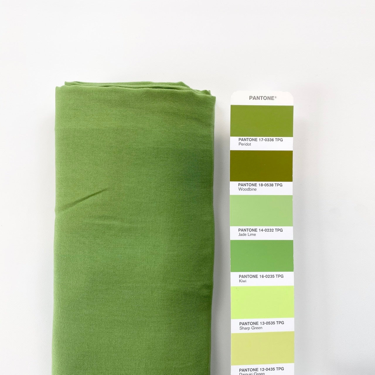 Euca Poplin | Solid