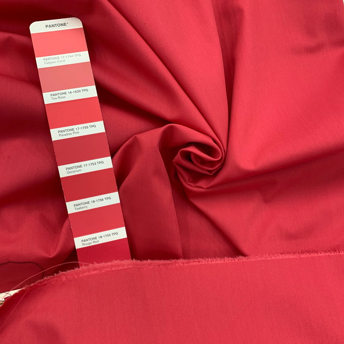 TC Poplin (ima) | Solid
