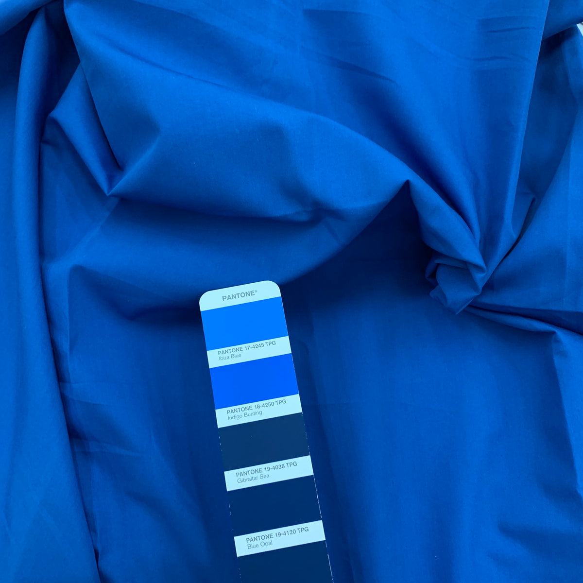 TC Poplin (ima) | Solid