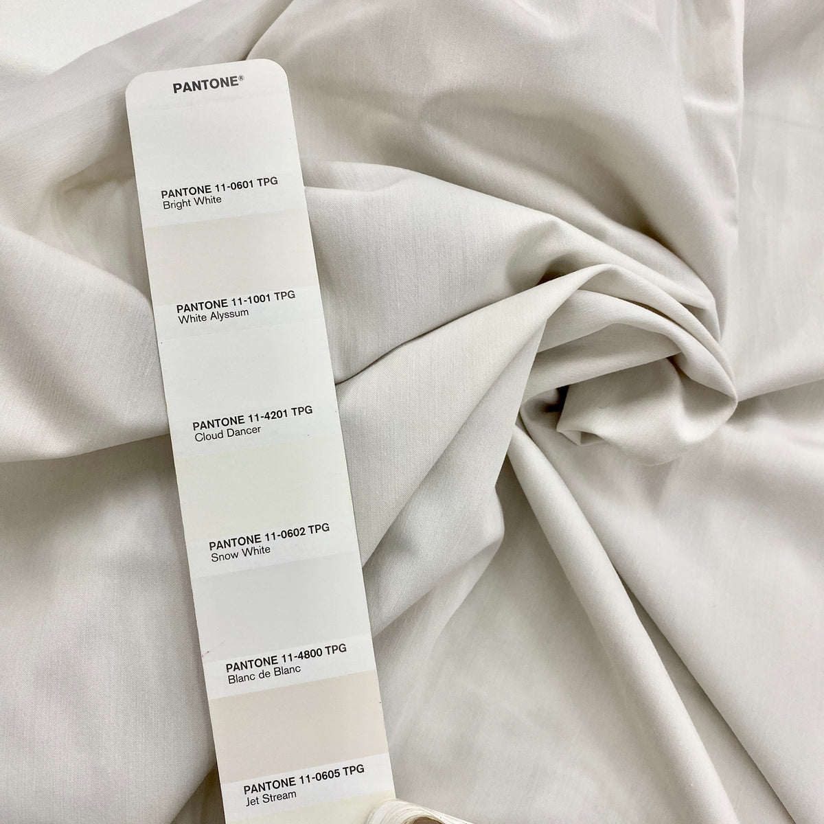 TC Poplin (ima) | Solid