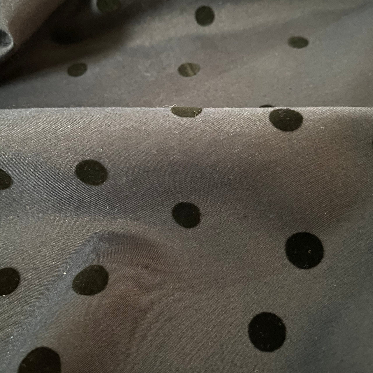 TC Poplin | Flocking Border Dot (FL5)