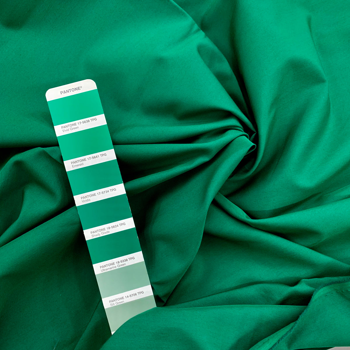 TC Poplin (ima) | Solid