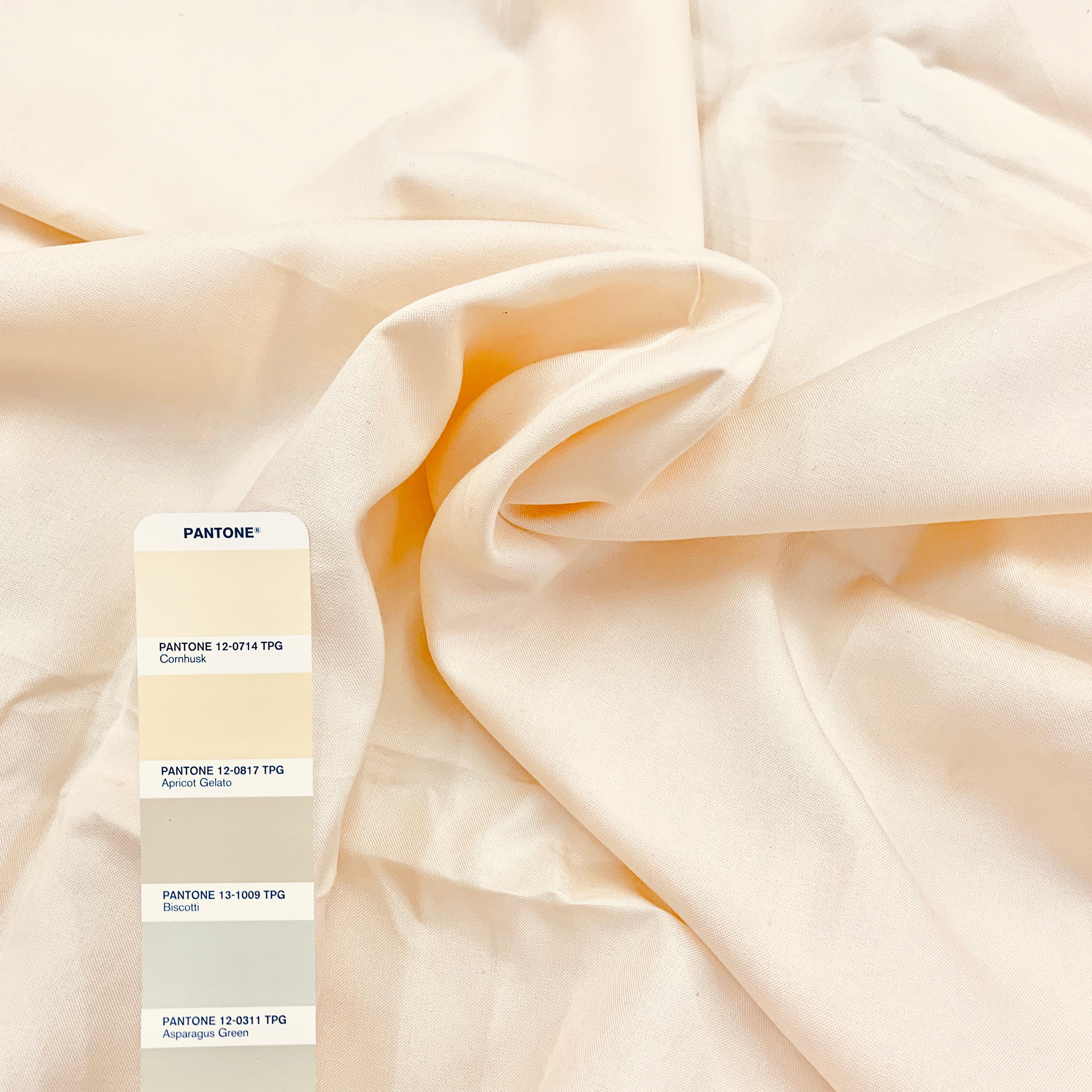 Euca / Linen Canvas | Solid