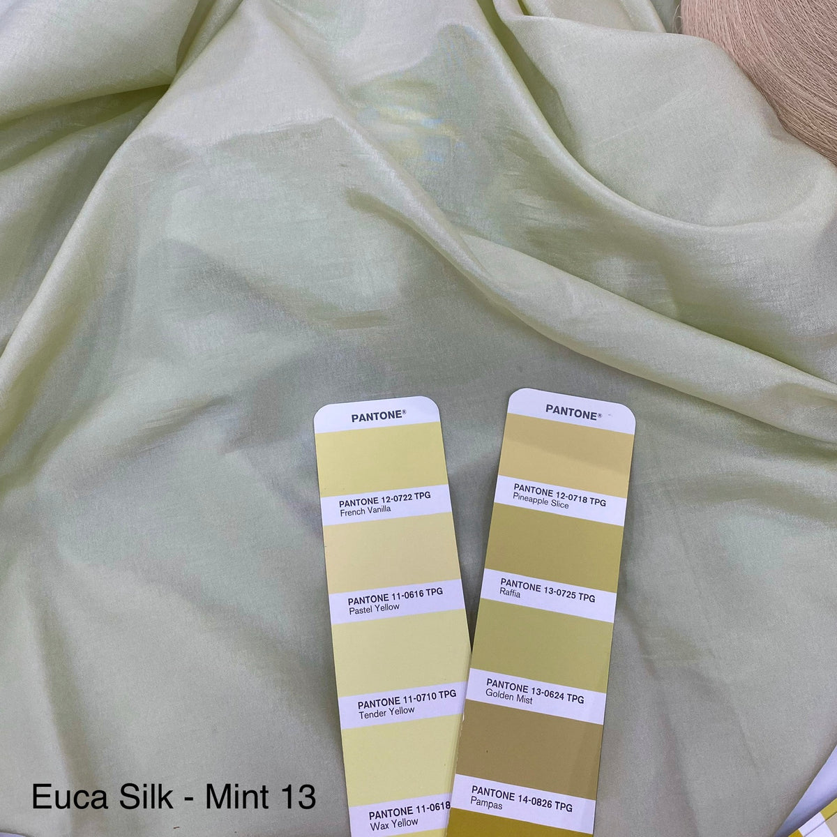 Euca Silk | Solid (Series 1)
