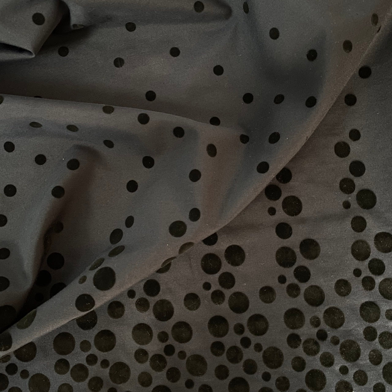 TC Poplin | Flocking Border Dot (FL5)