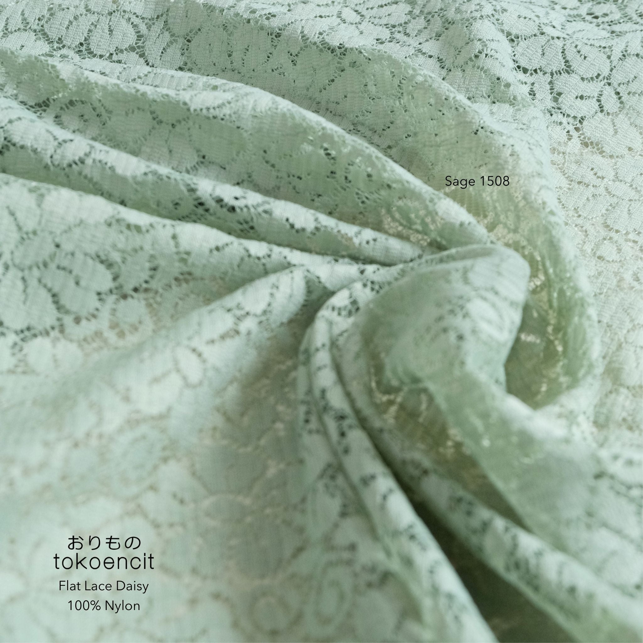 Flat Lace Daisy | Solid