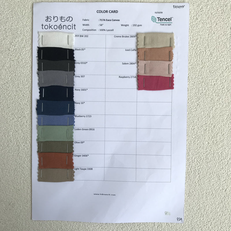 Euca / Linen Canvas | Solid