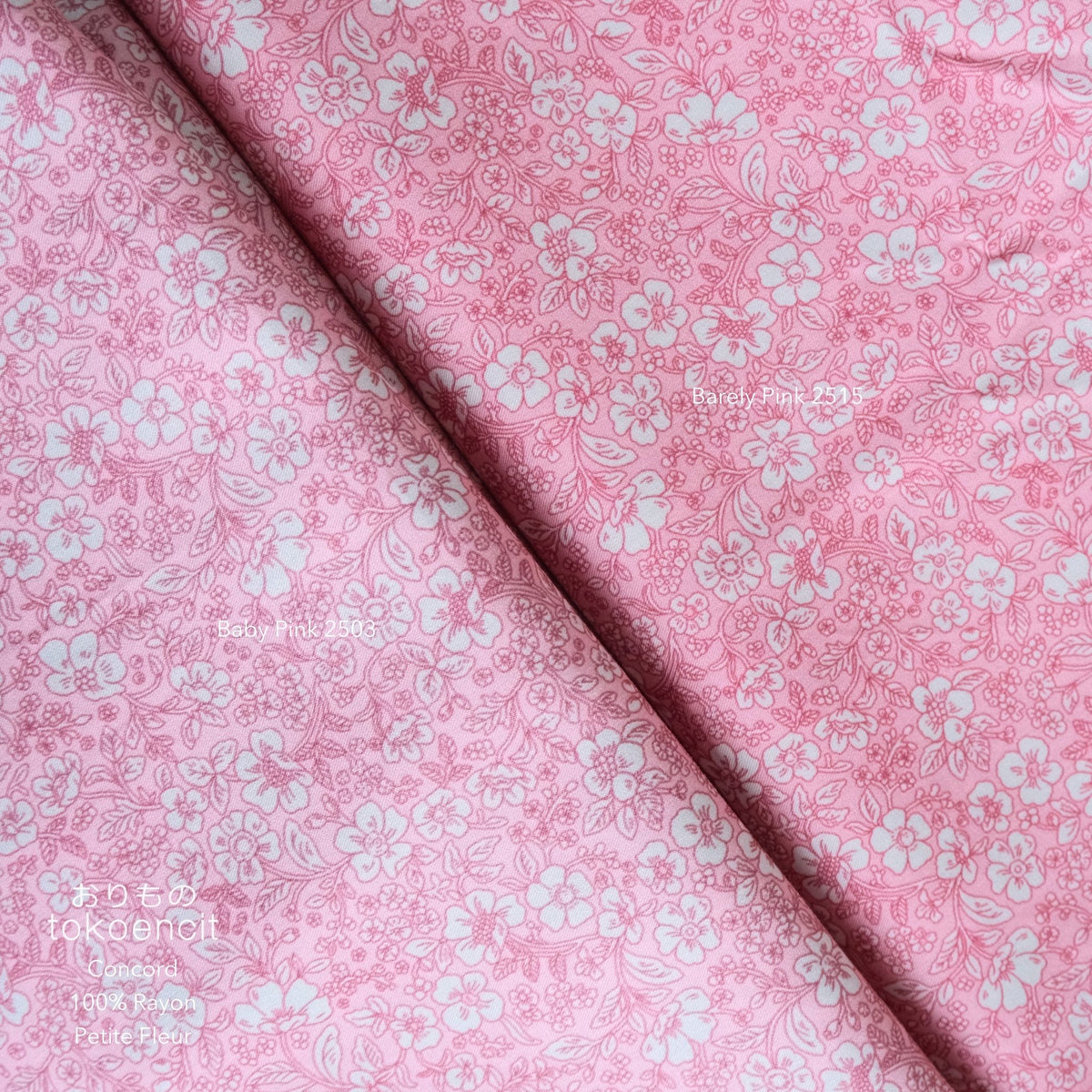 Concord | Petite Fleur