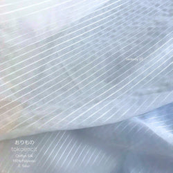 Chiffon Silk | E. Salur