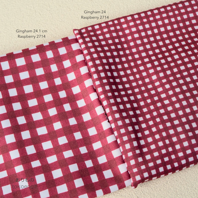 Canvas Twill / PE Twill 20 | Gingham 24