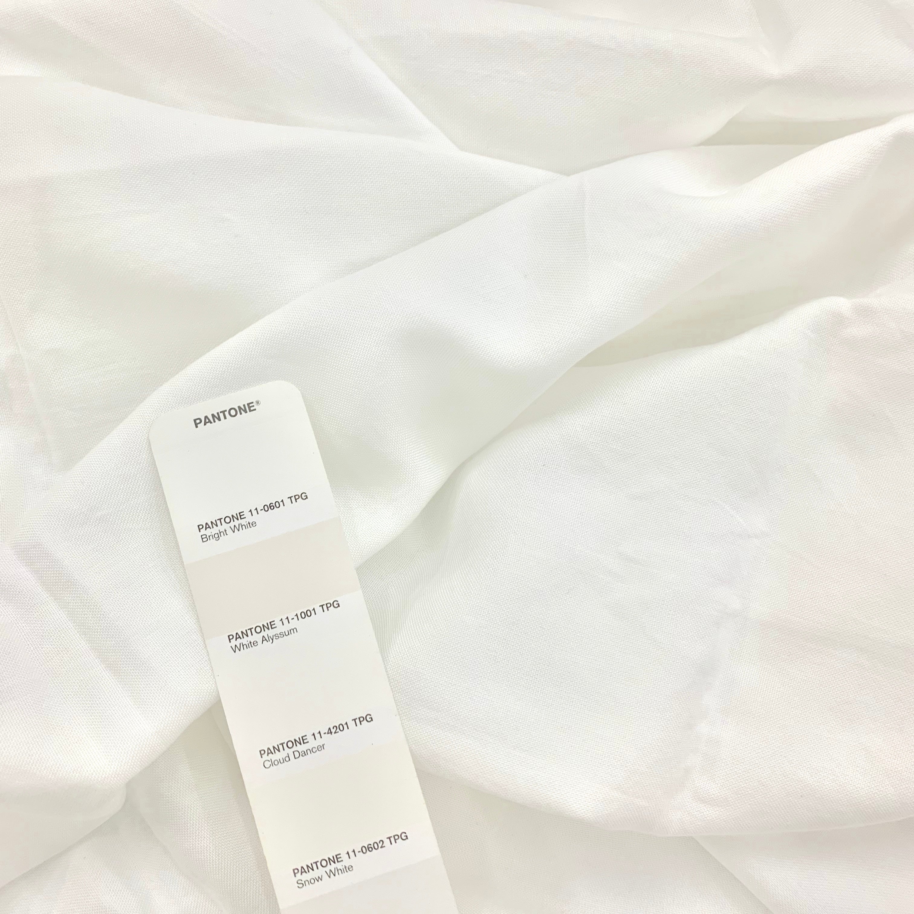 Euca / Linen Canvas | Solid