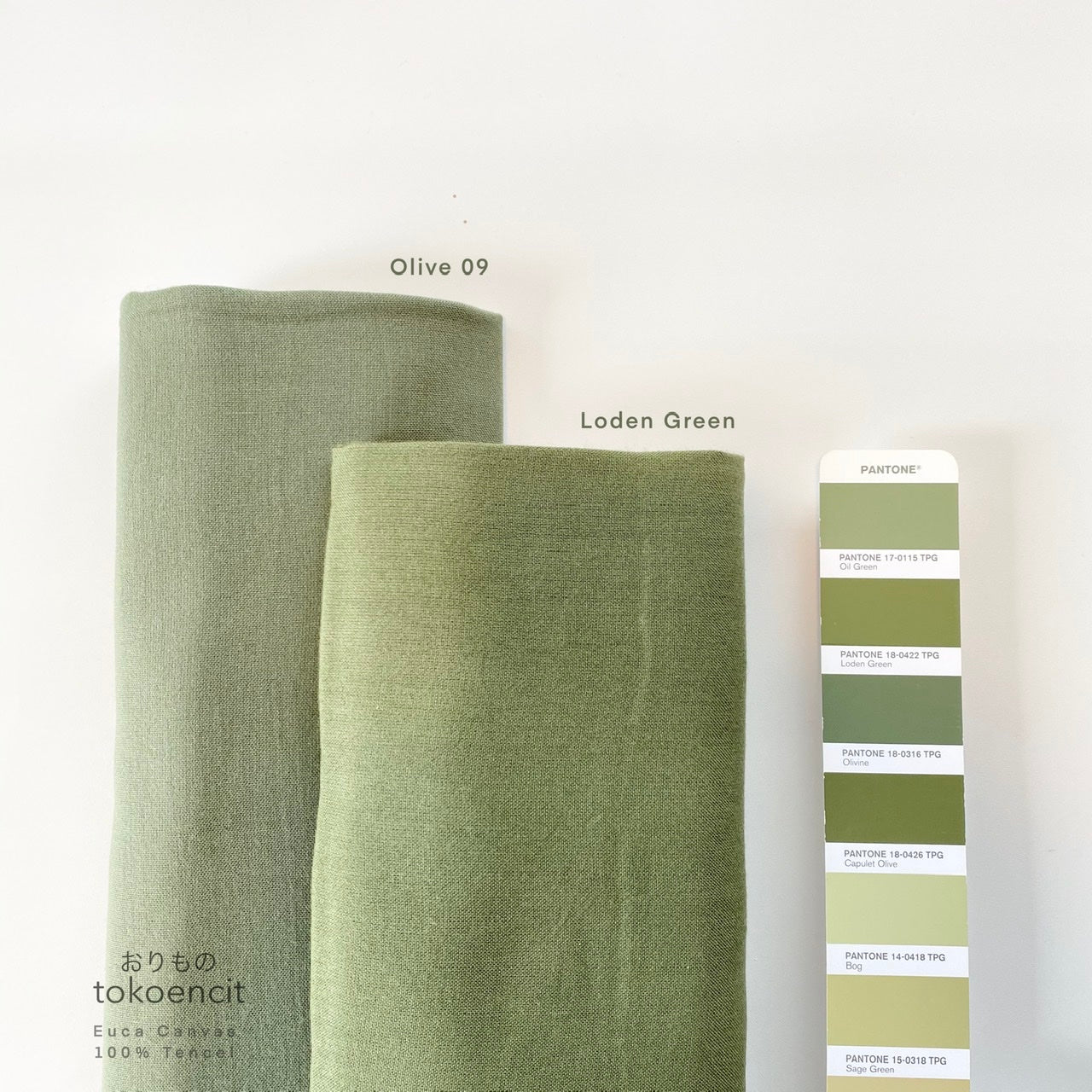 Euca / Linen Canvas | Solid