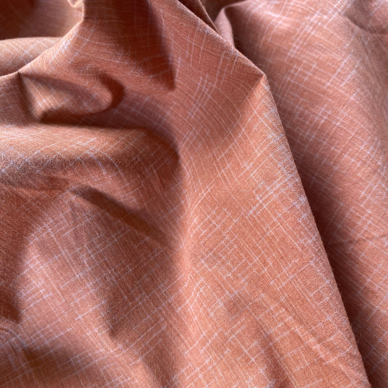 Cotton Rich | SM72 04