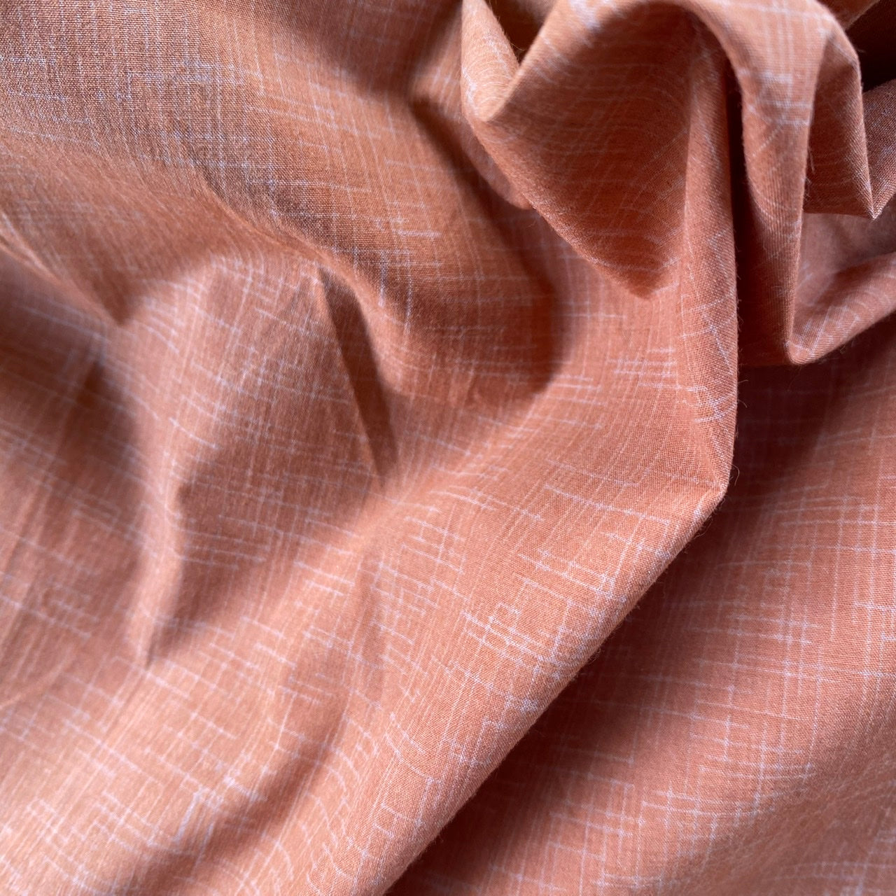 Cotton Rich | SM72 04