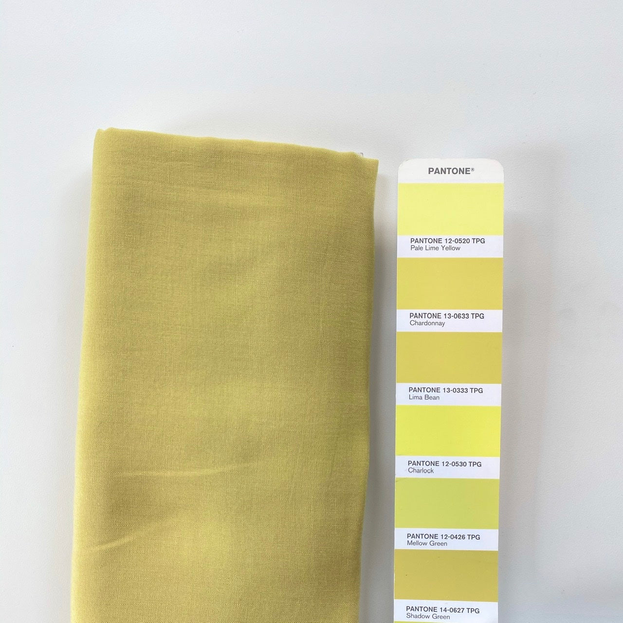 Euca Poplin | Solid