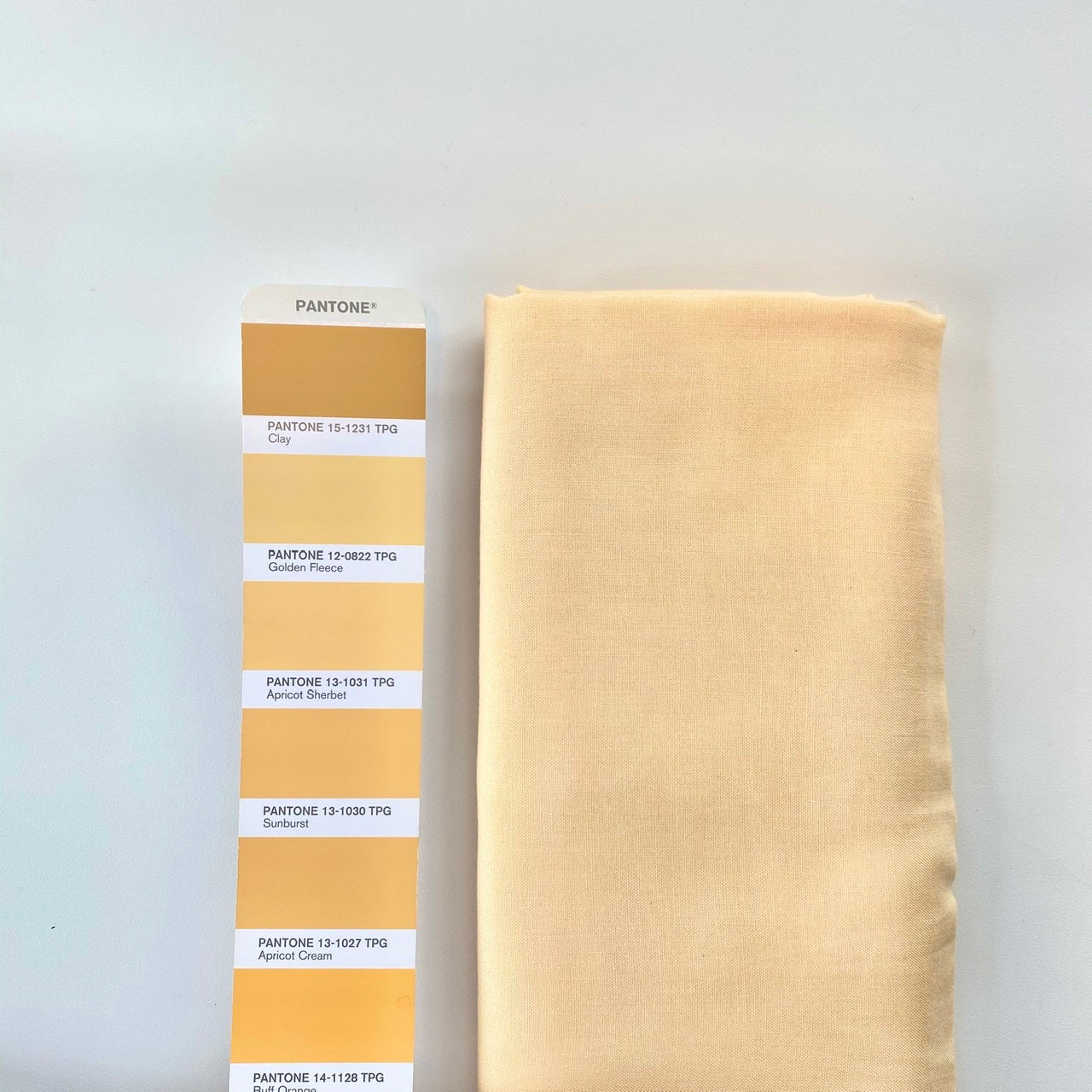 Euca Poplin | Solid