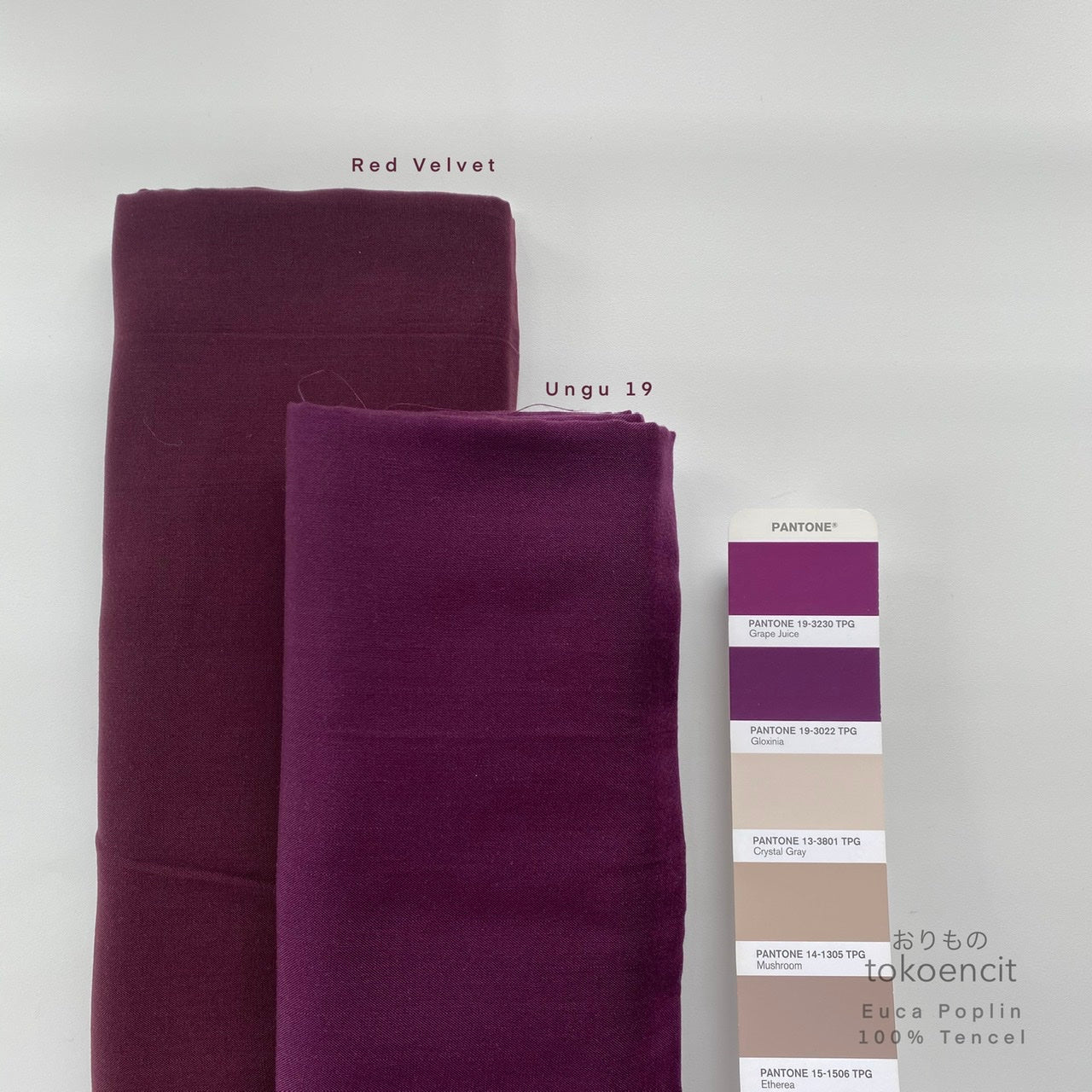 Euca Poplin | Solid