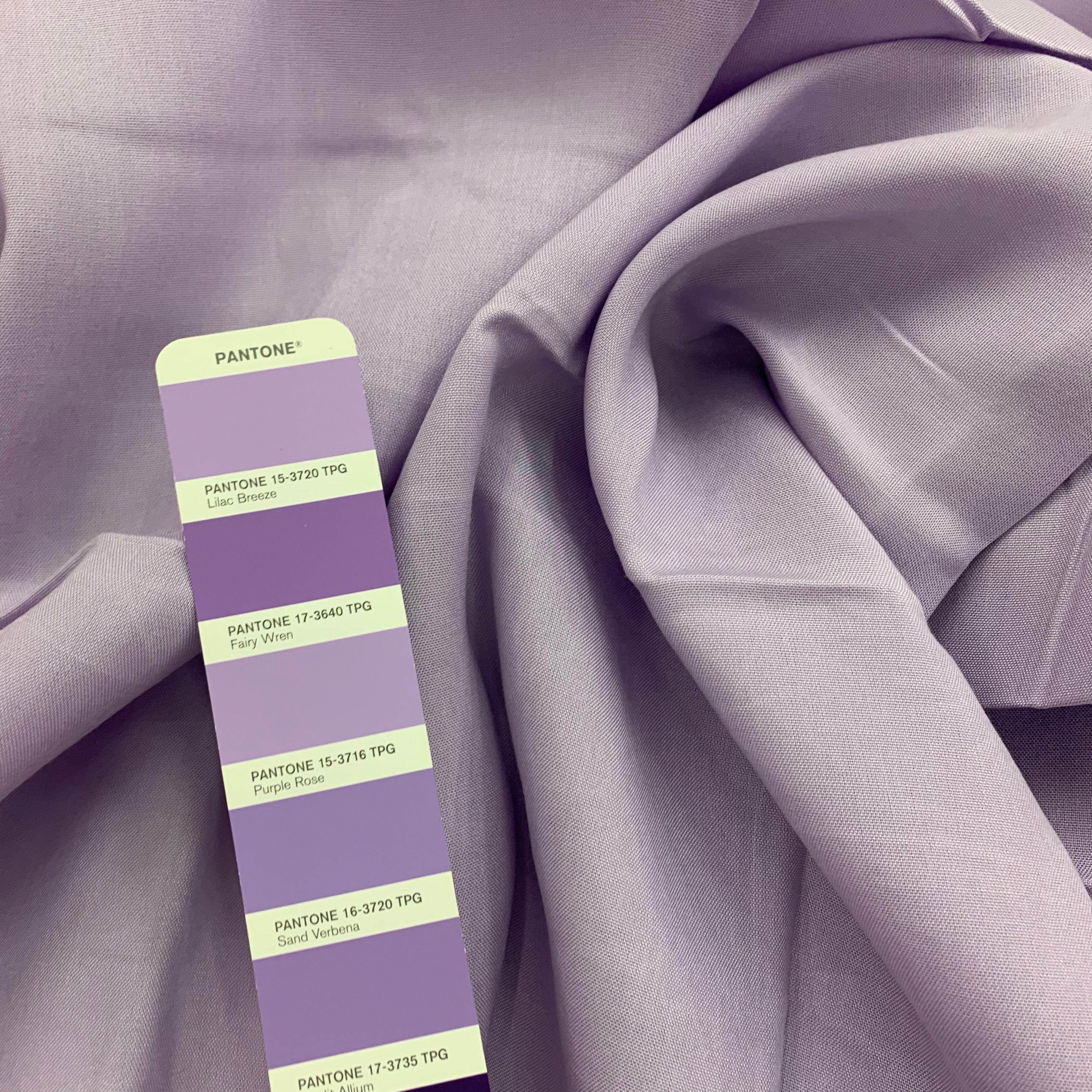 Euca / Linen Canvas | Solid