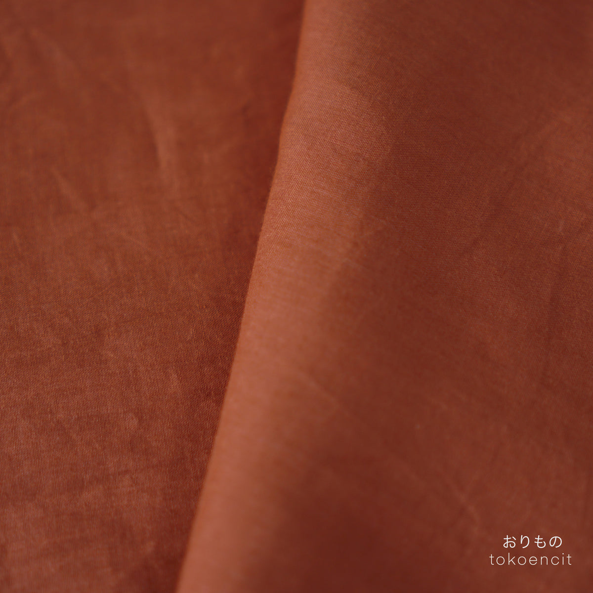Euca Voille 1 | Solid