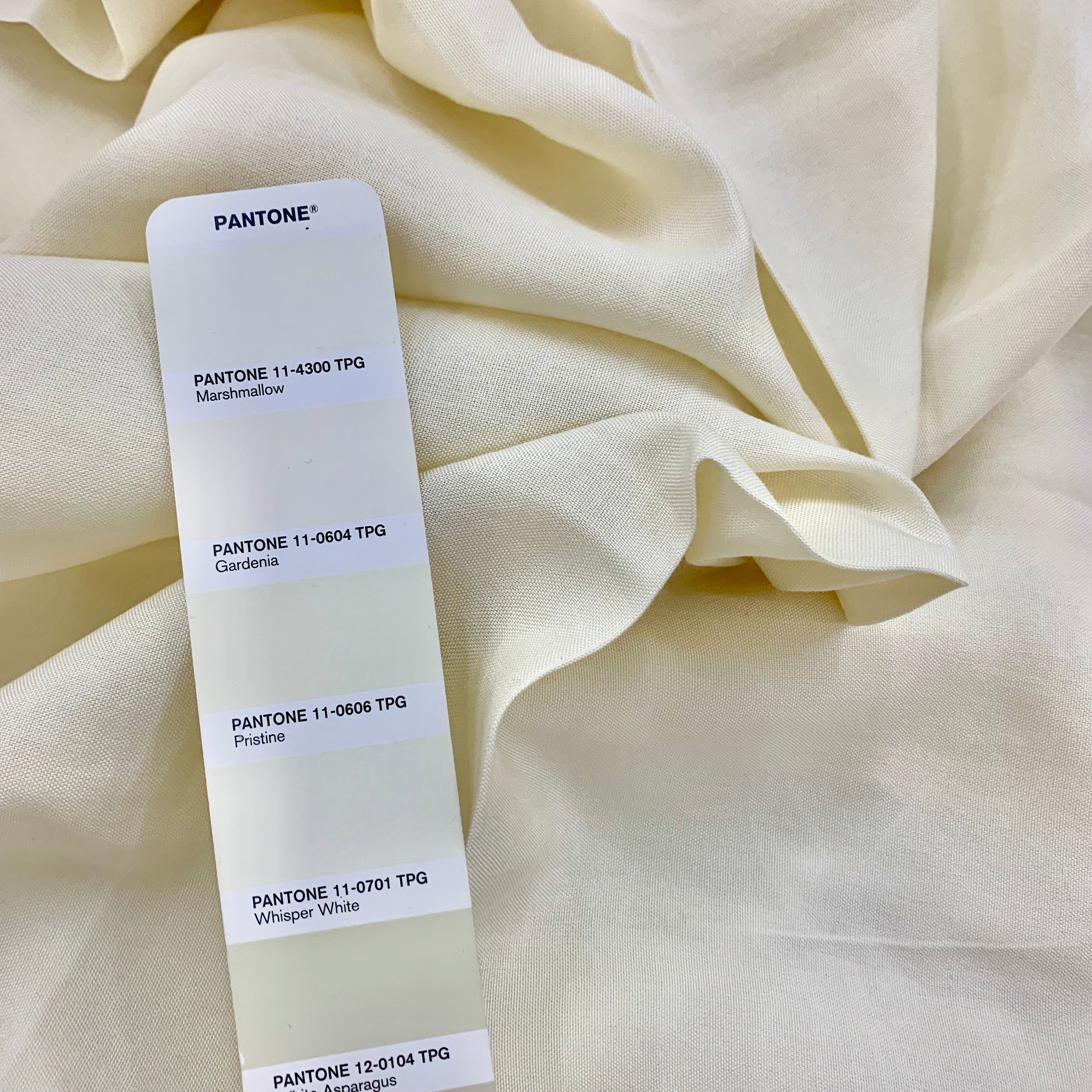 Euca / Linen Canvas | Solid