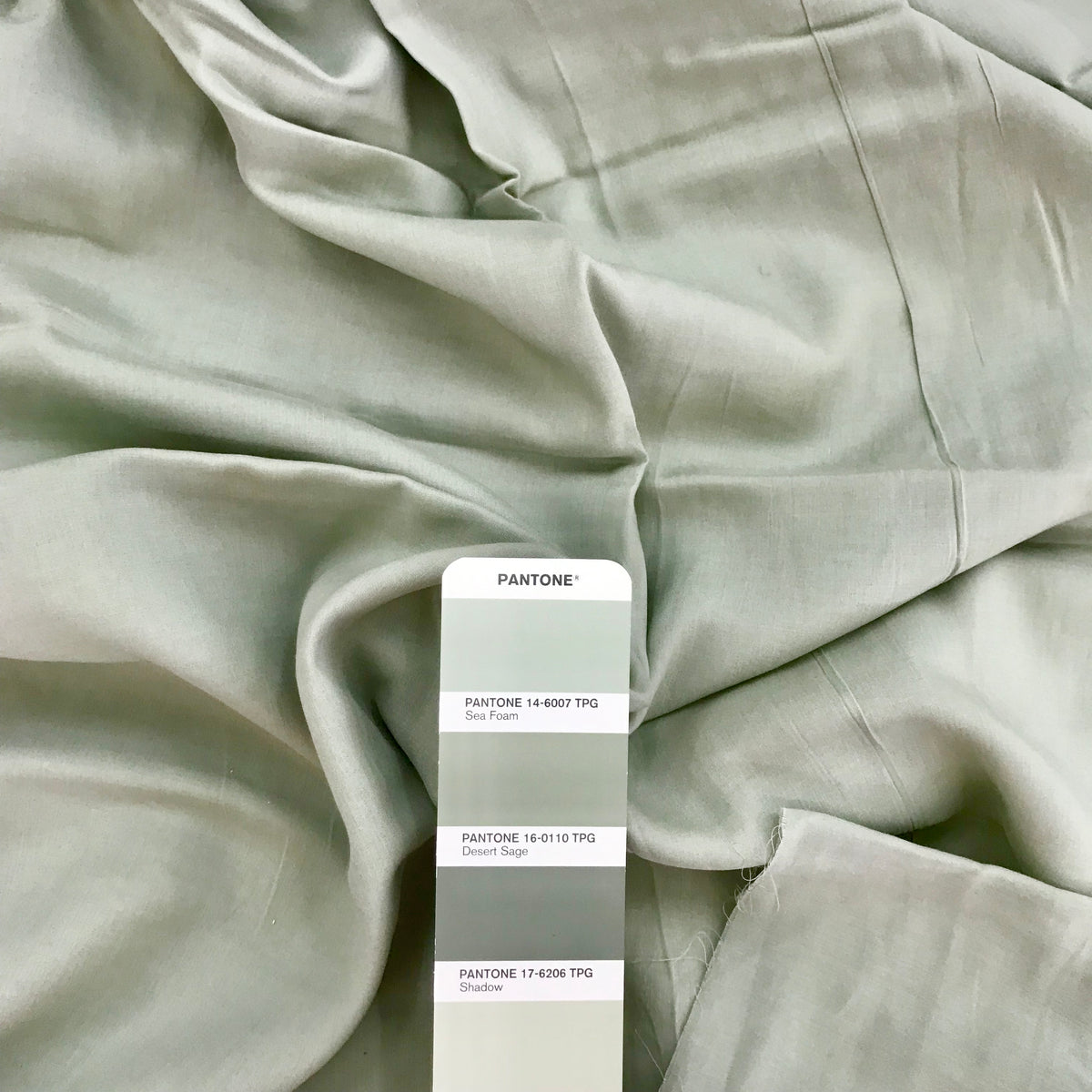 Euca Voille 1 | Solid