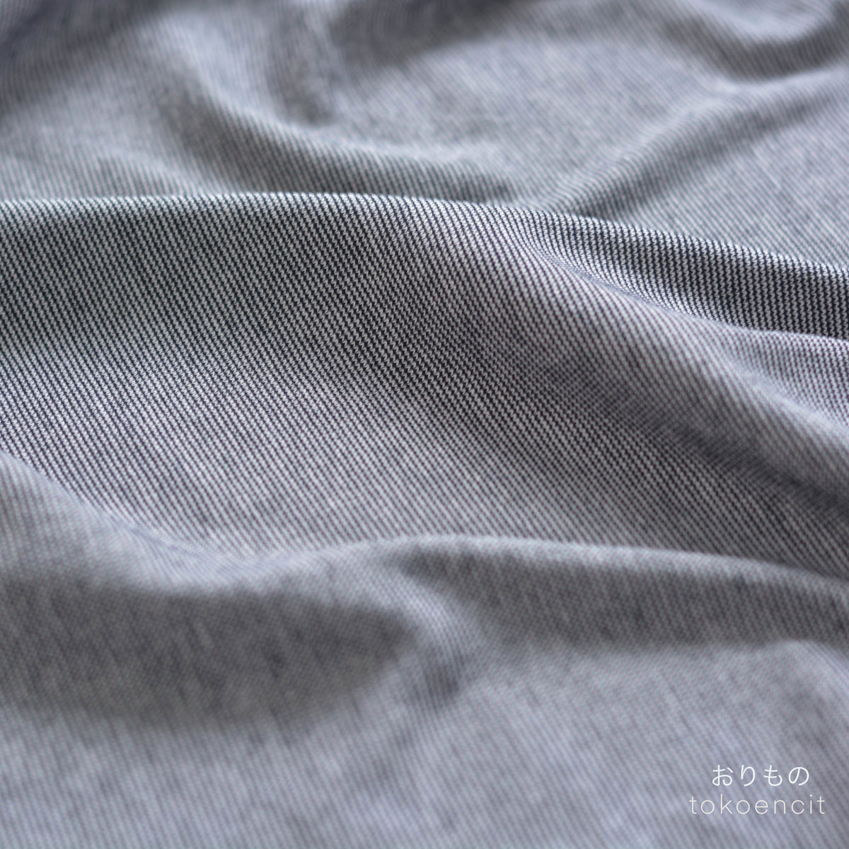 Euca Ponte | Solid