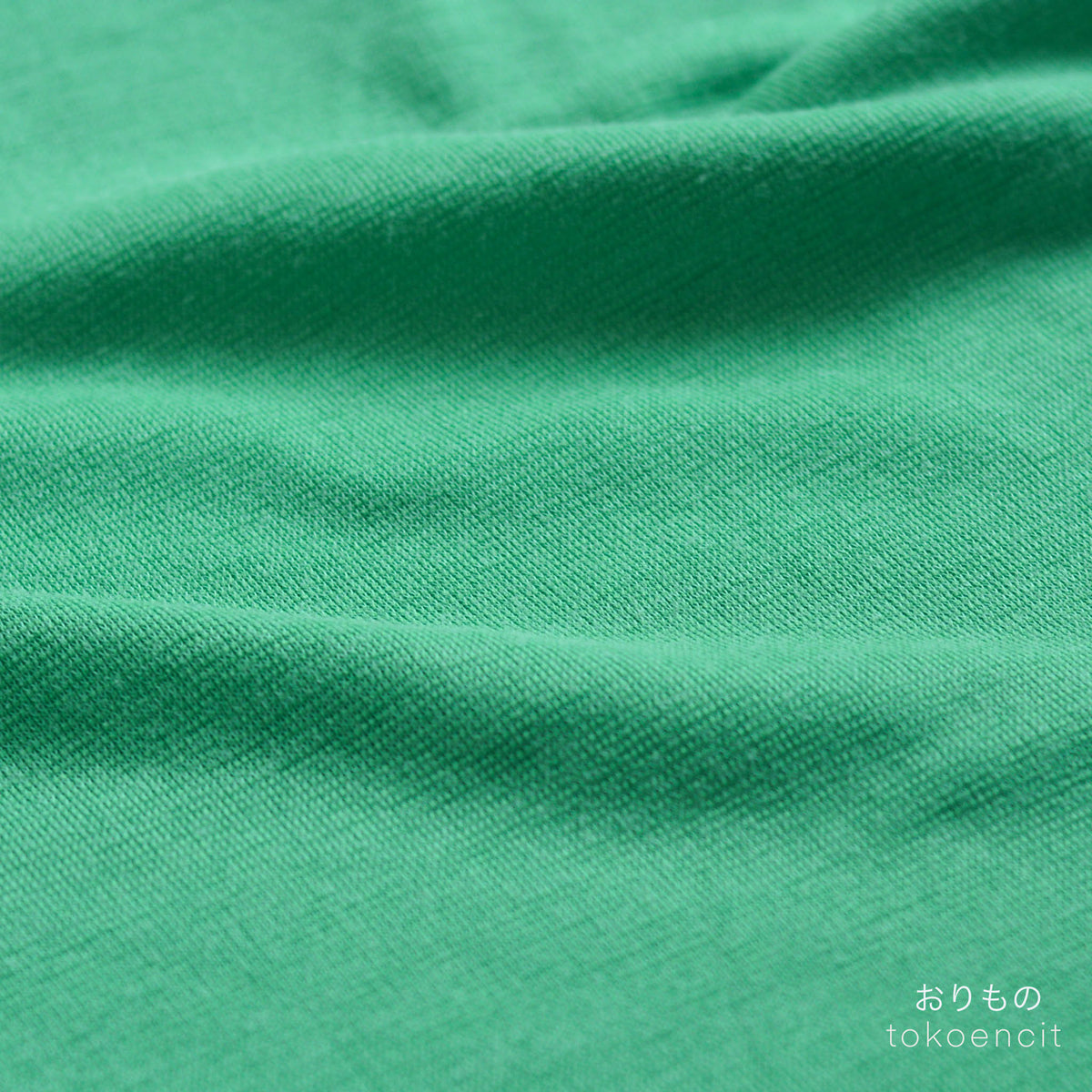 Euca Ponte | Solid