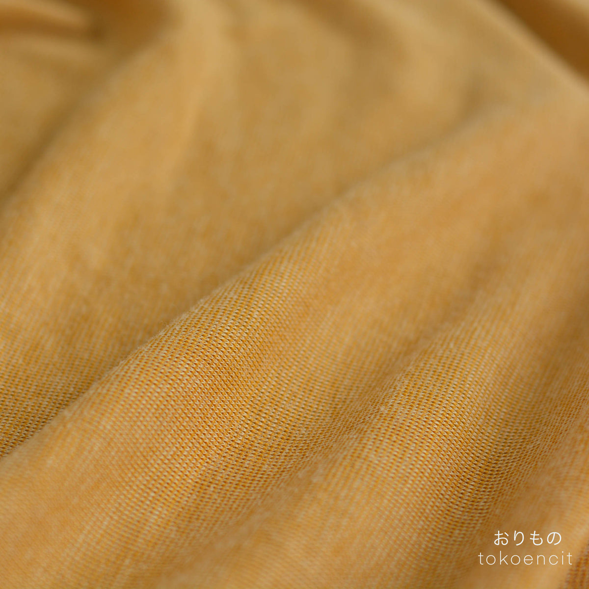 Euca Ponte | Solid