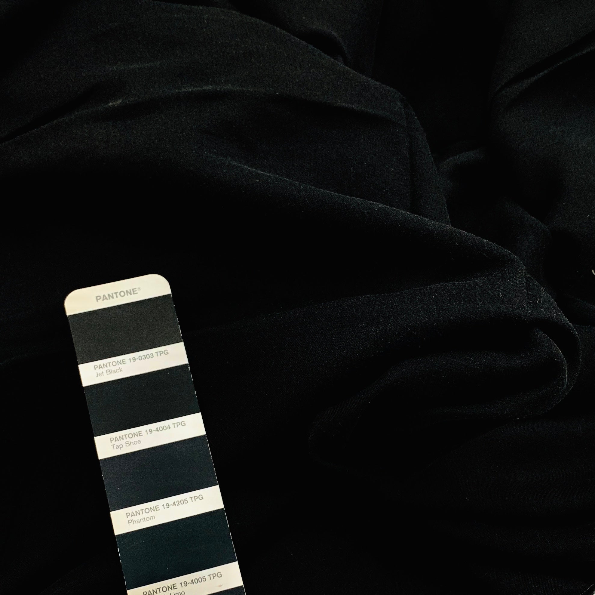 Euca / Linen Canvas | Solid
