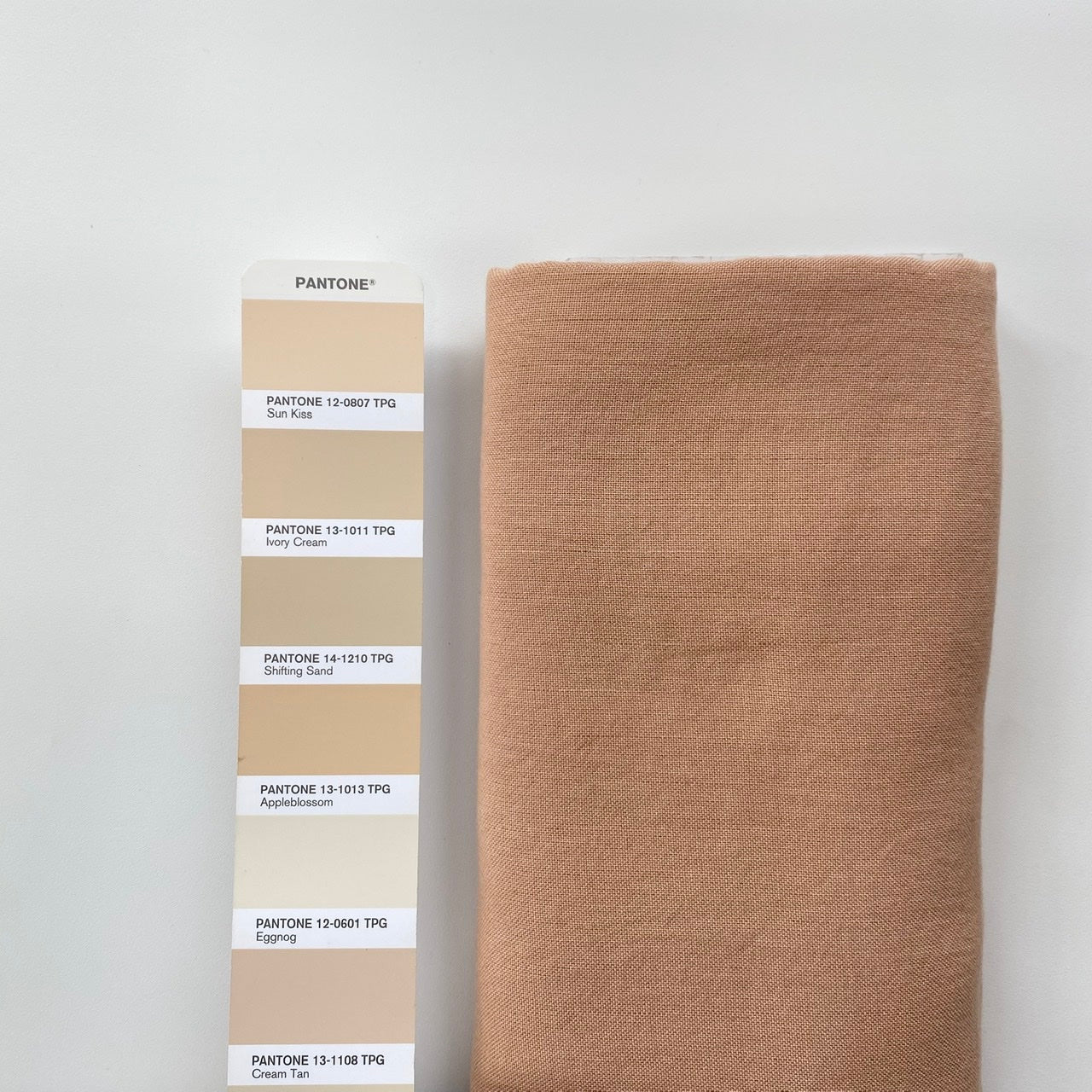 Euca / Linen Canvas | Solid