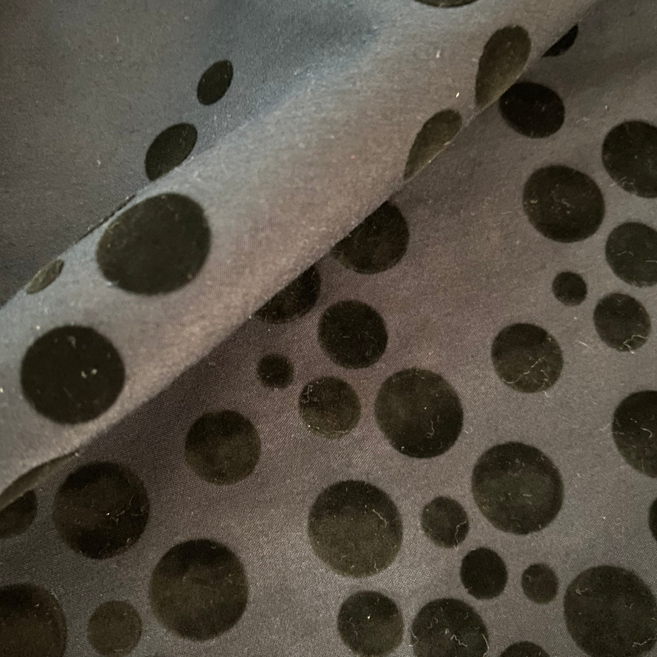 TC Poplin | Flocking Border Dot (FL5)