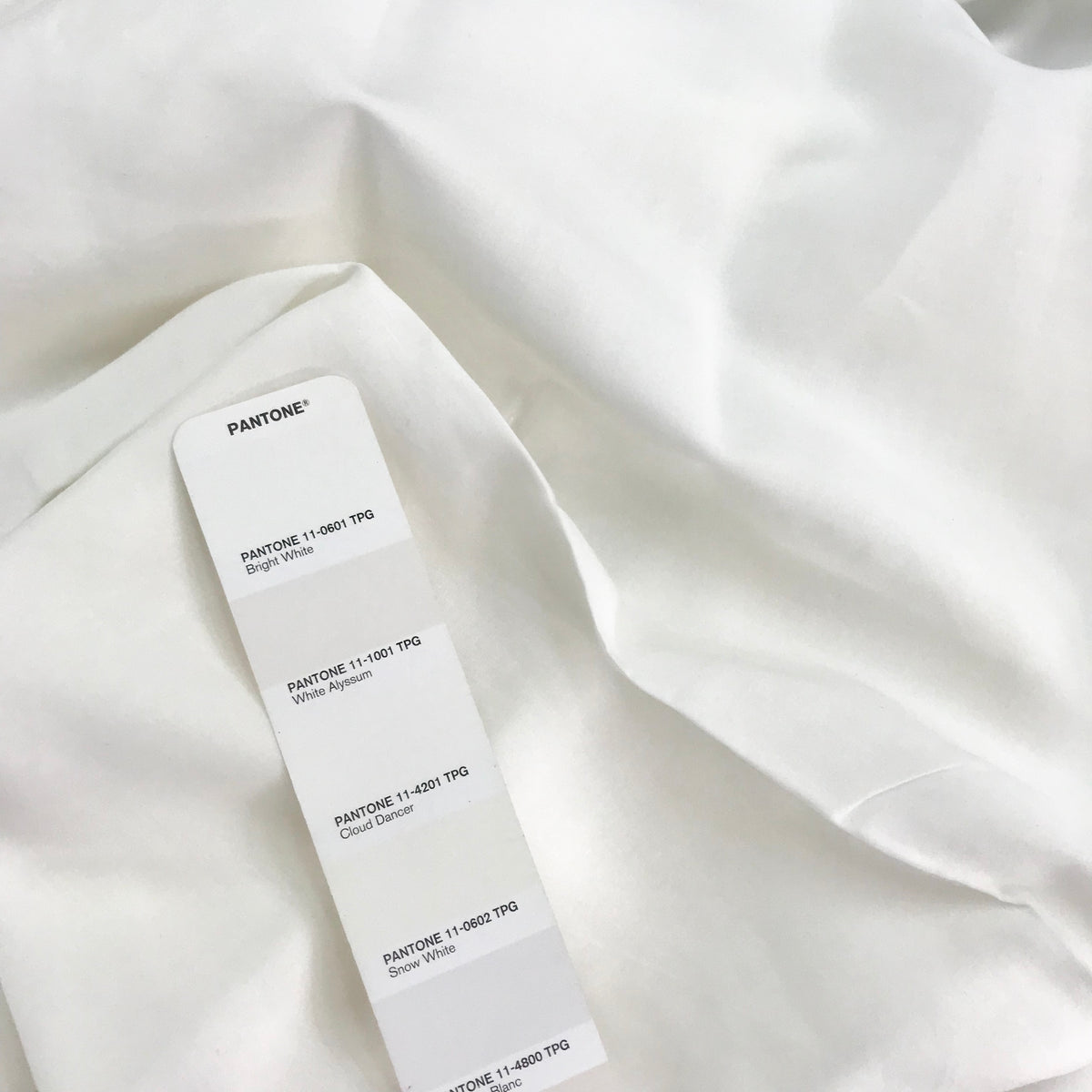 Euca Voille New 1 (Mechanical Stretch) | Solid