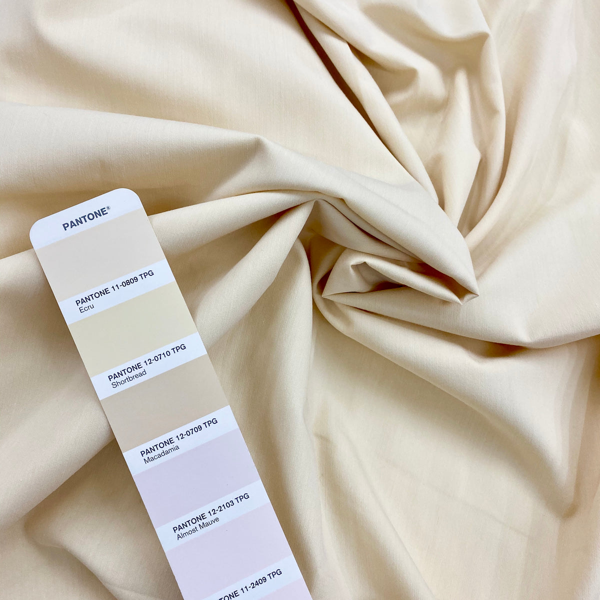 TC Poplin (ima) | Solid