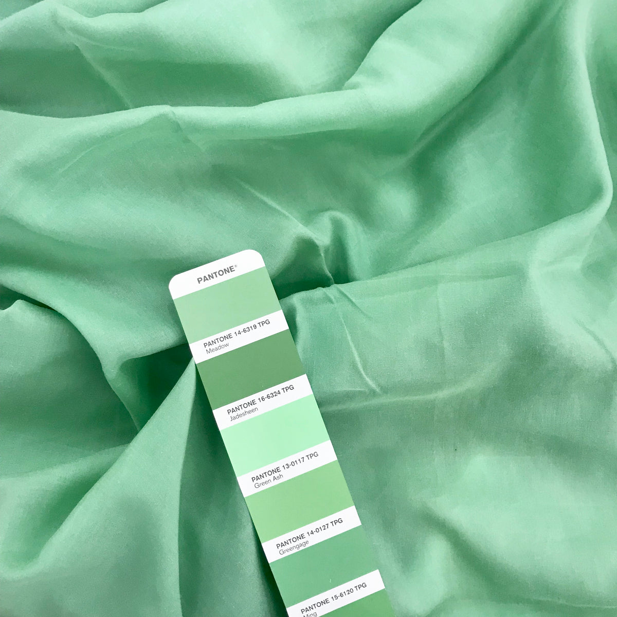 Euca Voille New 1 (Mechanical Stretch) | Solid