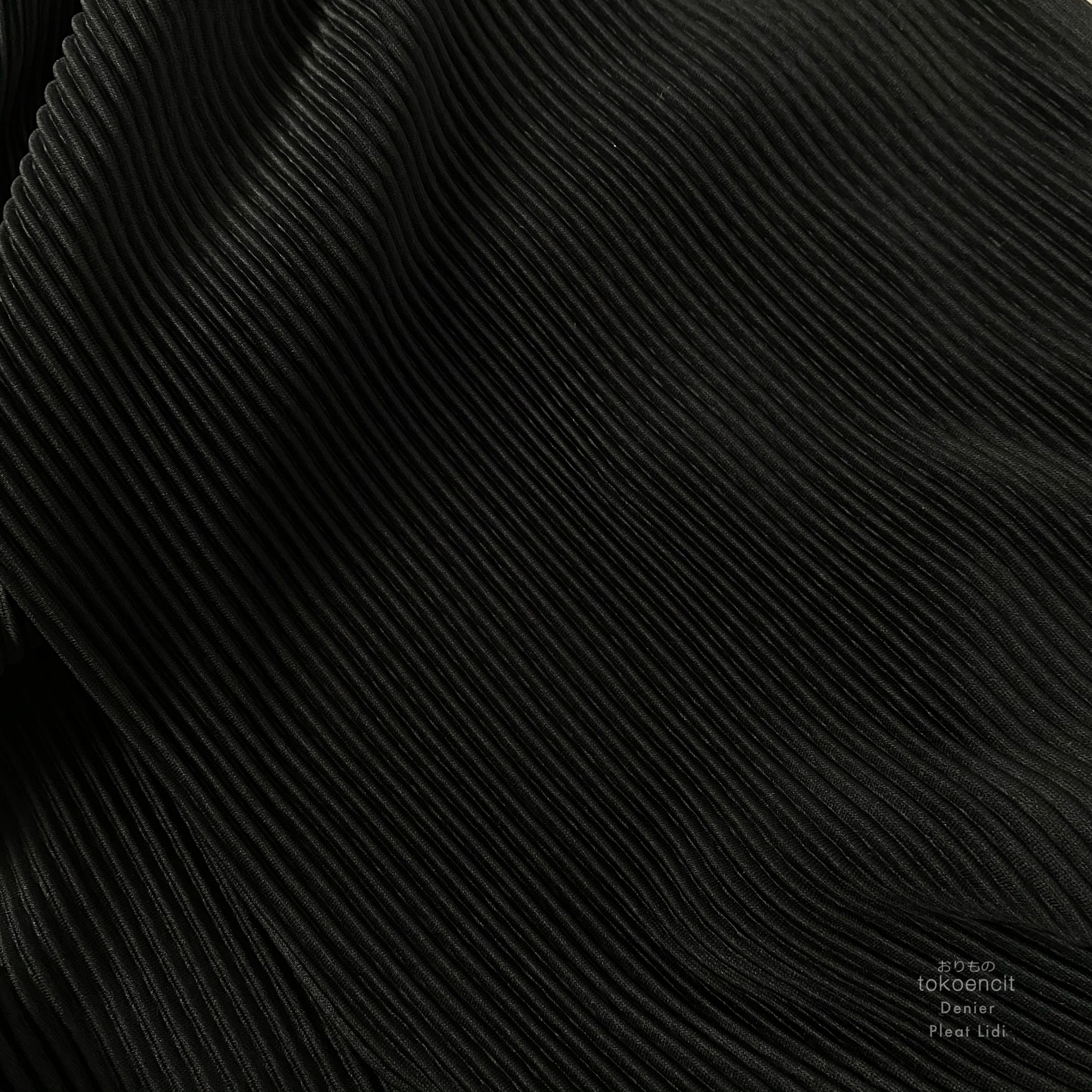 Denier 70 | Pleat Lidi/ Signature